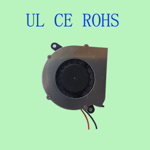 5010L(fng)C(j)